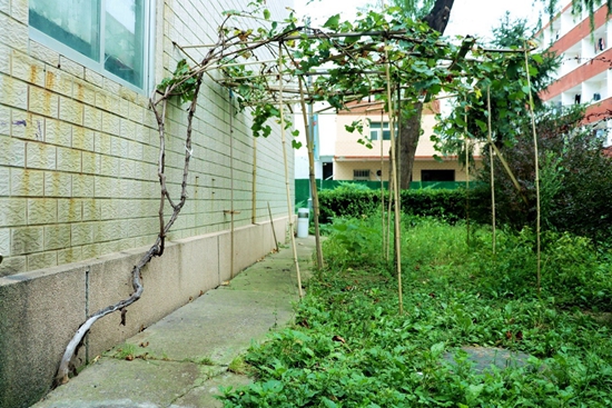 68ccff2cca8d9.jpg 图片3.jpg