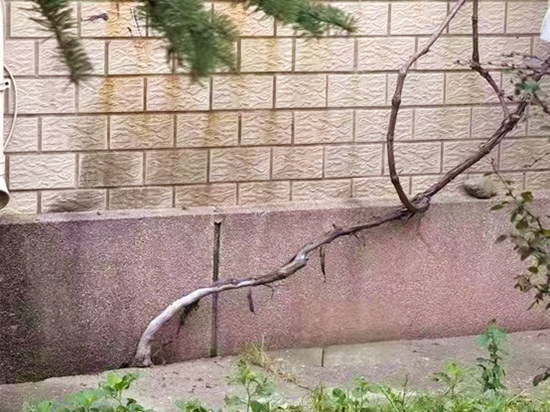 68ccff481b2b4.jpg 3ed6c2eddd10c27b52e59f1fdbbbe8ff.jpg