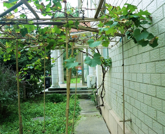 68ccff5ec6a7c.jpg 图片5.jpg