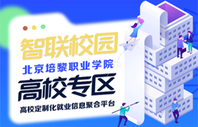              智联完美网页版专区